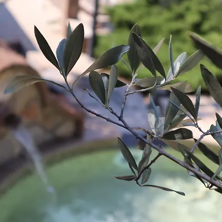 L'asparagina Vakantiehuis *