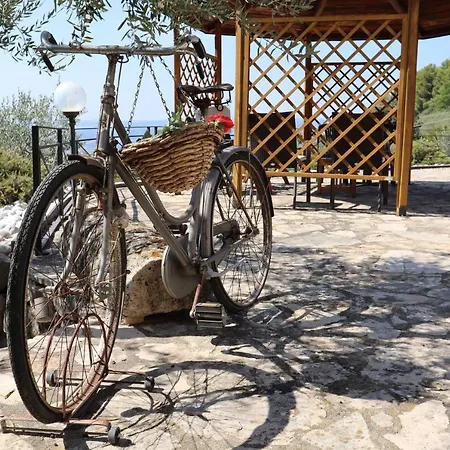 L'asparagina * Guardea