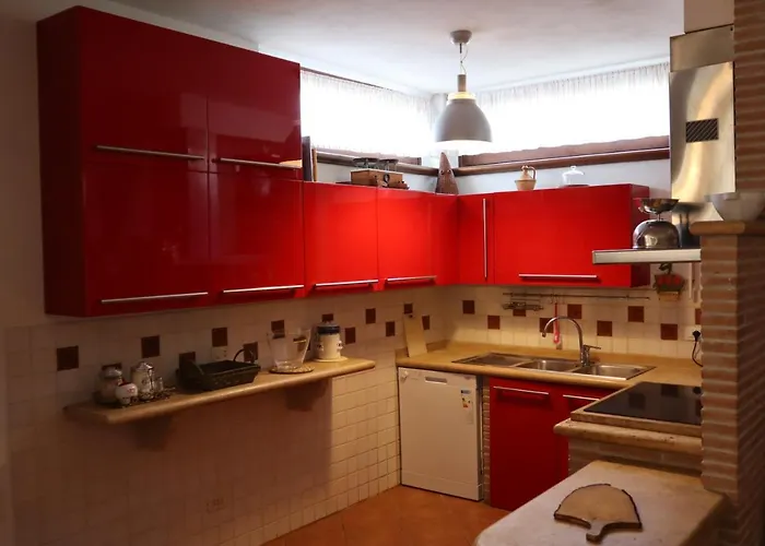 L'asparagina * Guardea