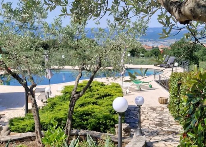 L'asparagina * Guardea